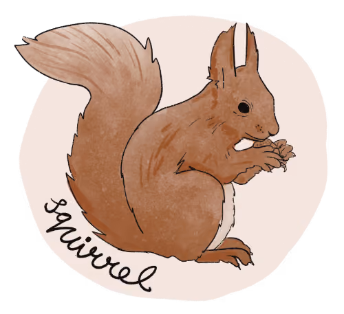 Illustration of a squirrel.