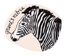 Illustration of a zebra.