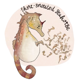 Illustration of a seahorse.