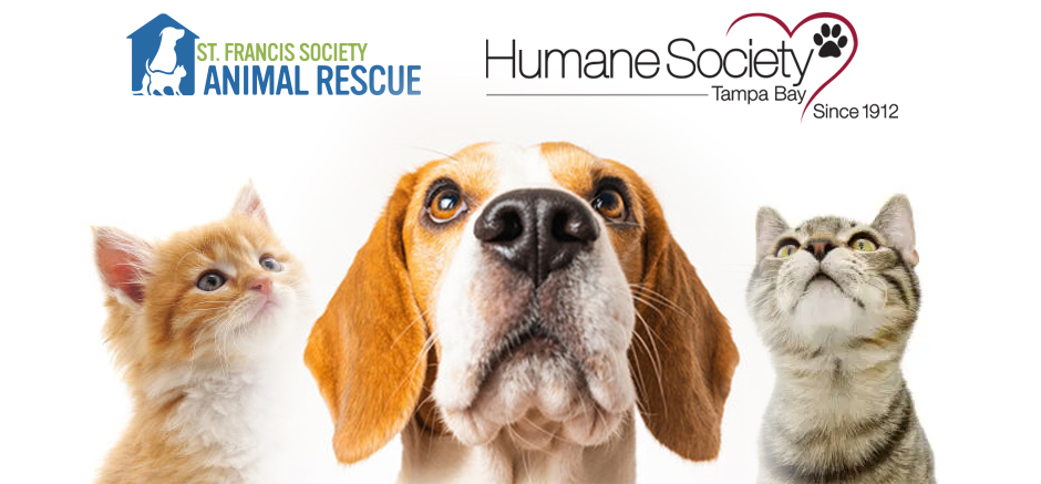 animal rescue humane society banner