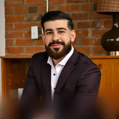 Hamoun Ani