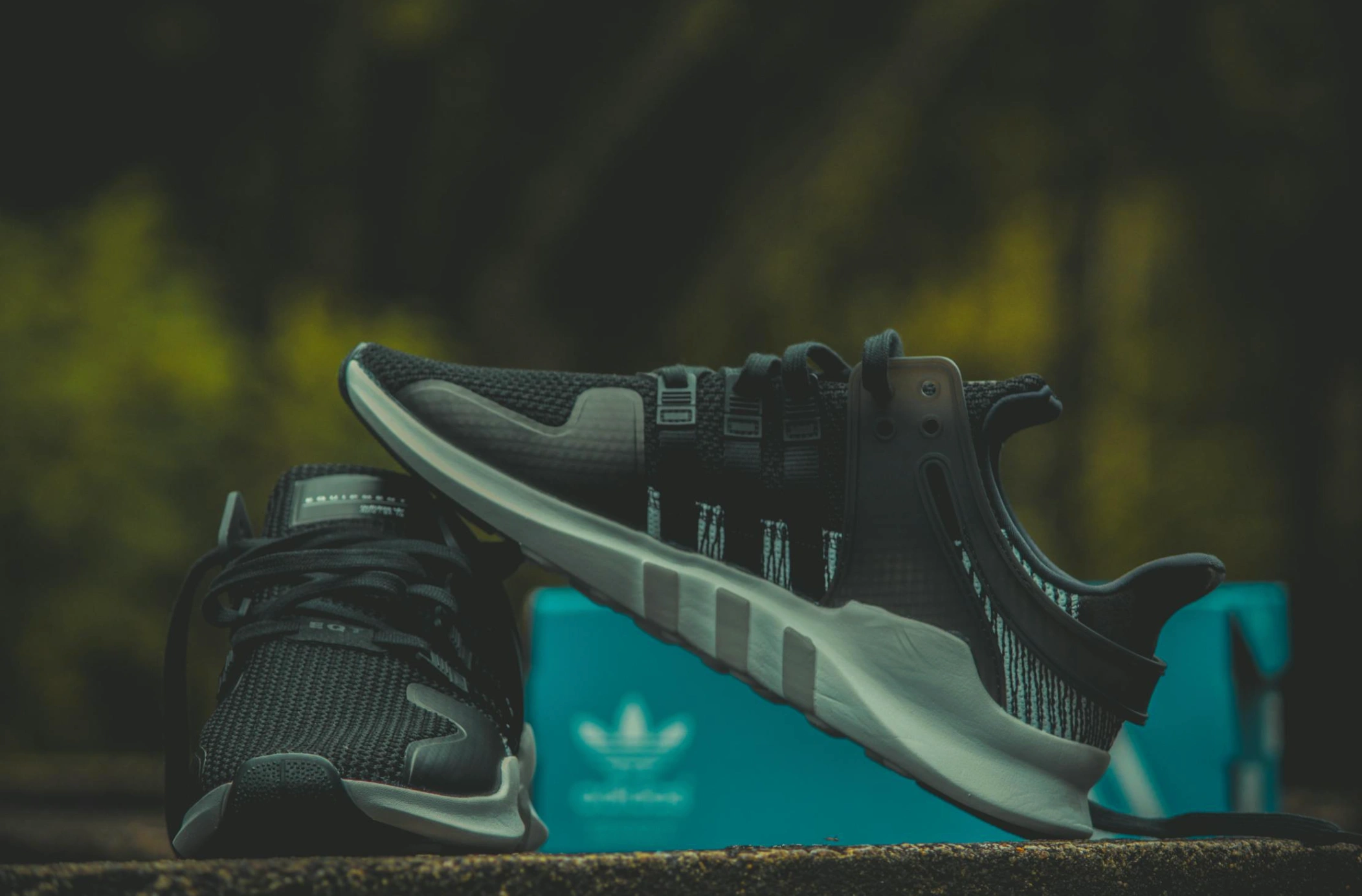 Adidas sneakers
