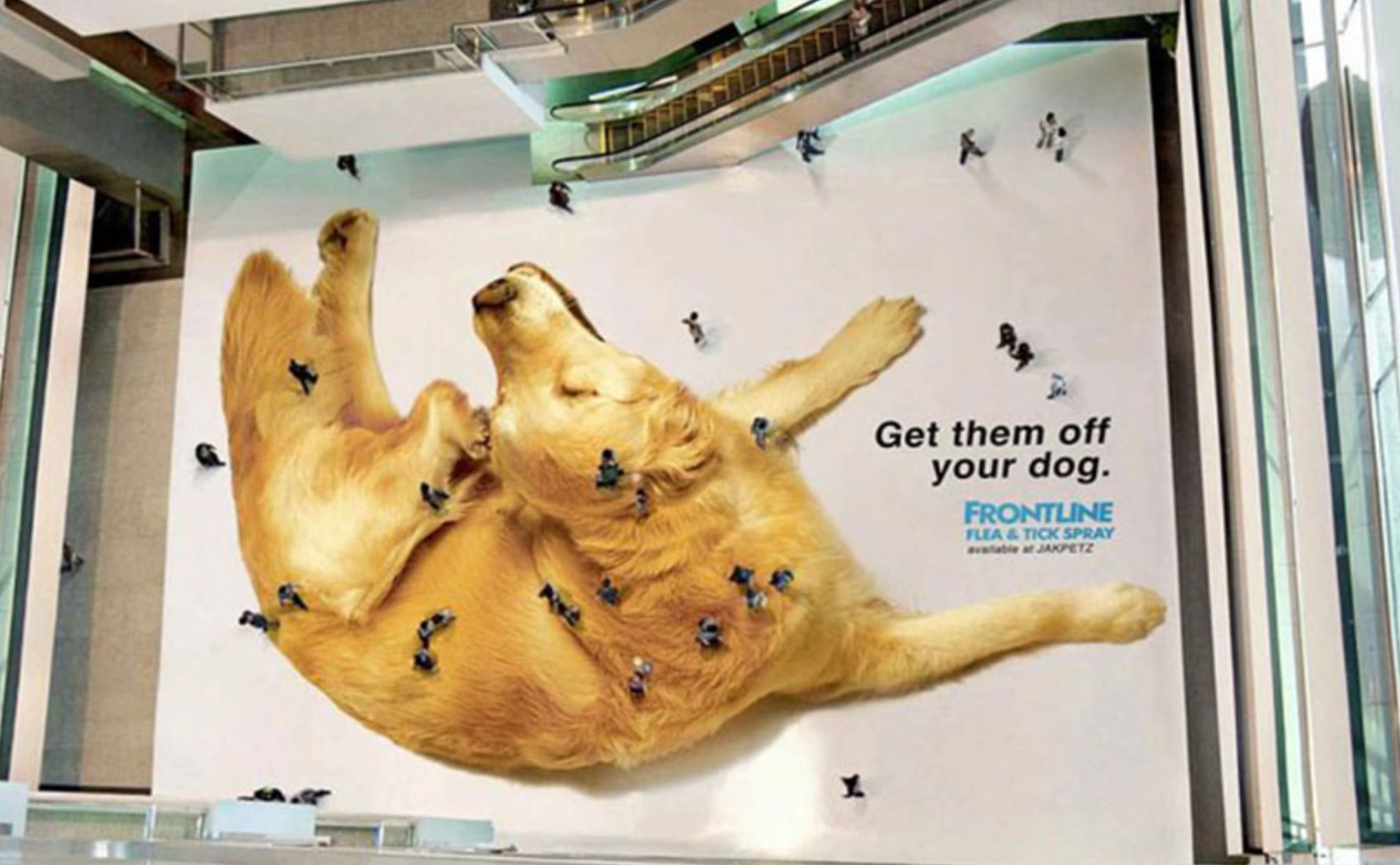 Guerrilla marketing frontline dog