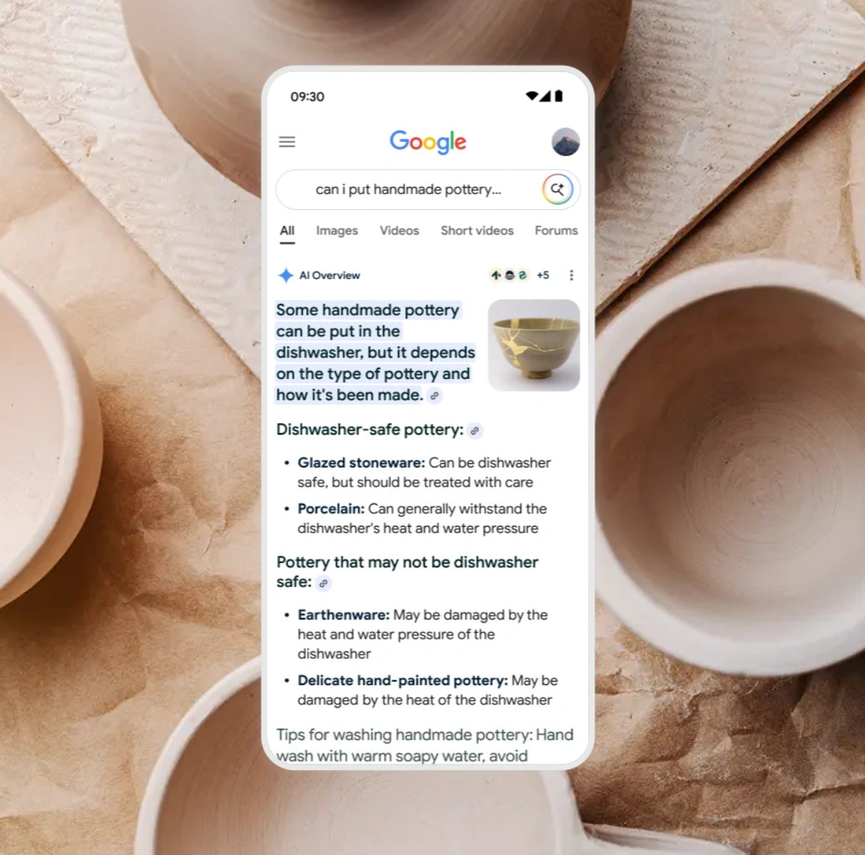 Google AI Overviews