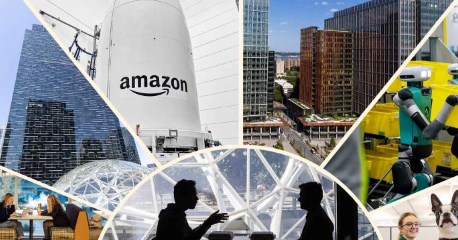 amazon