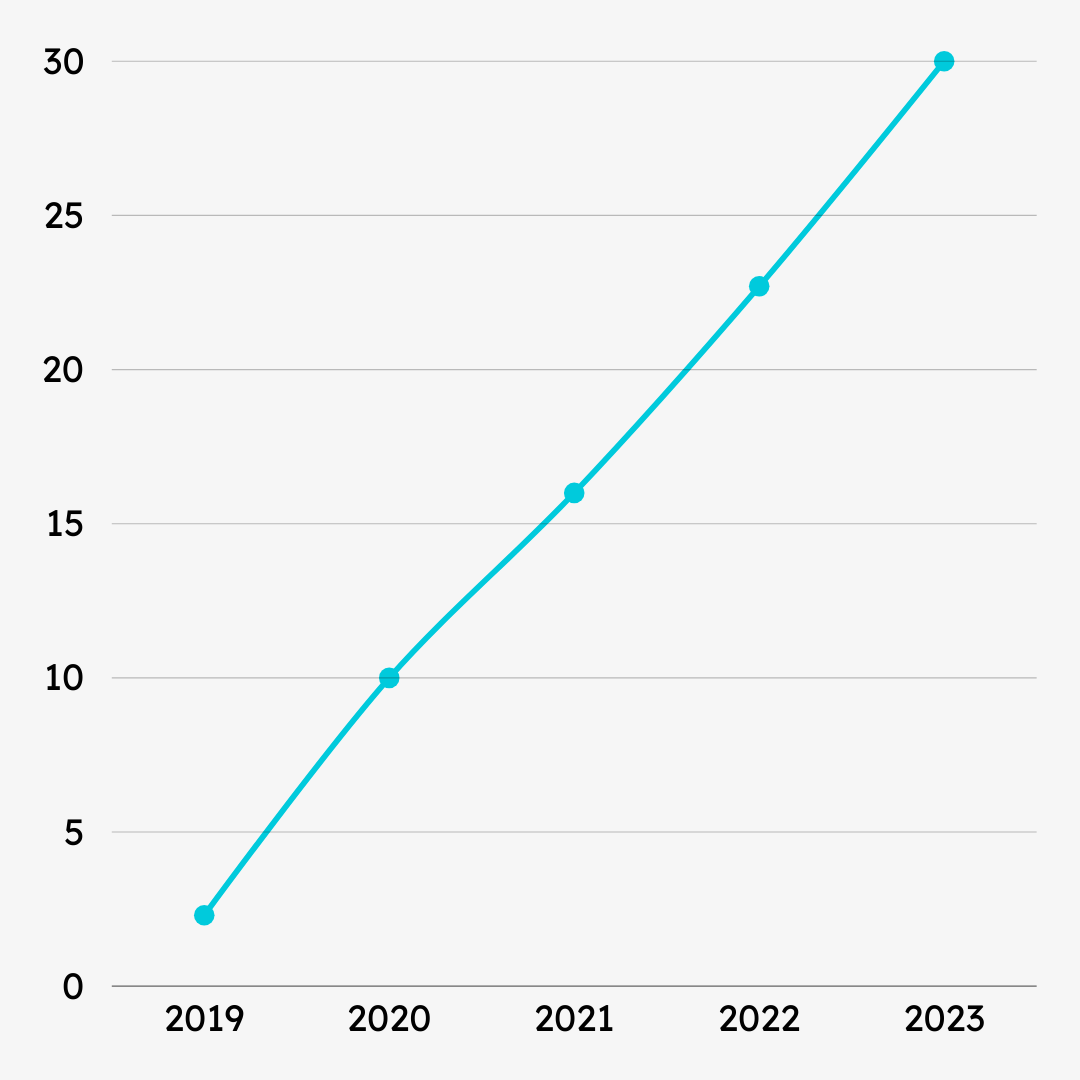 A graph displaying the revenue growth of Shein by Year.