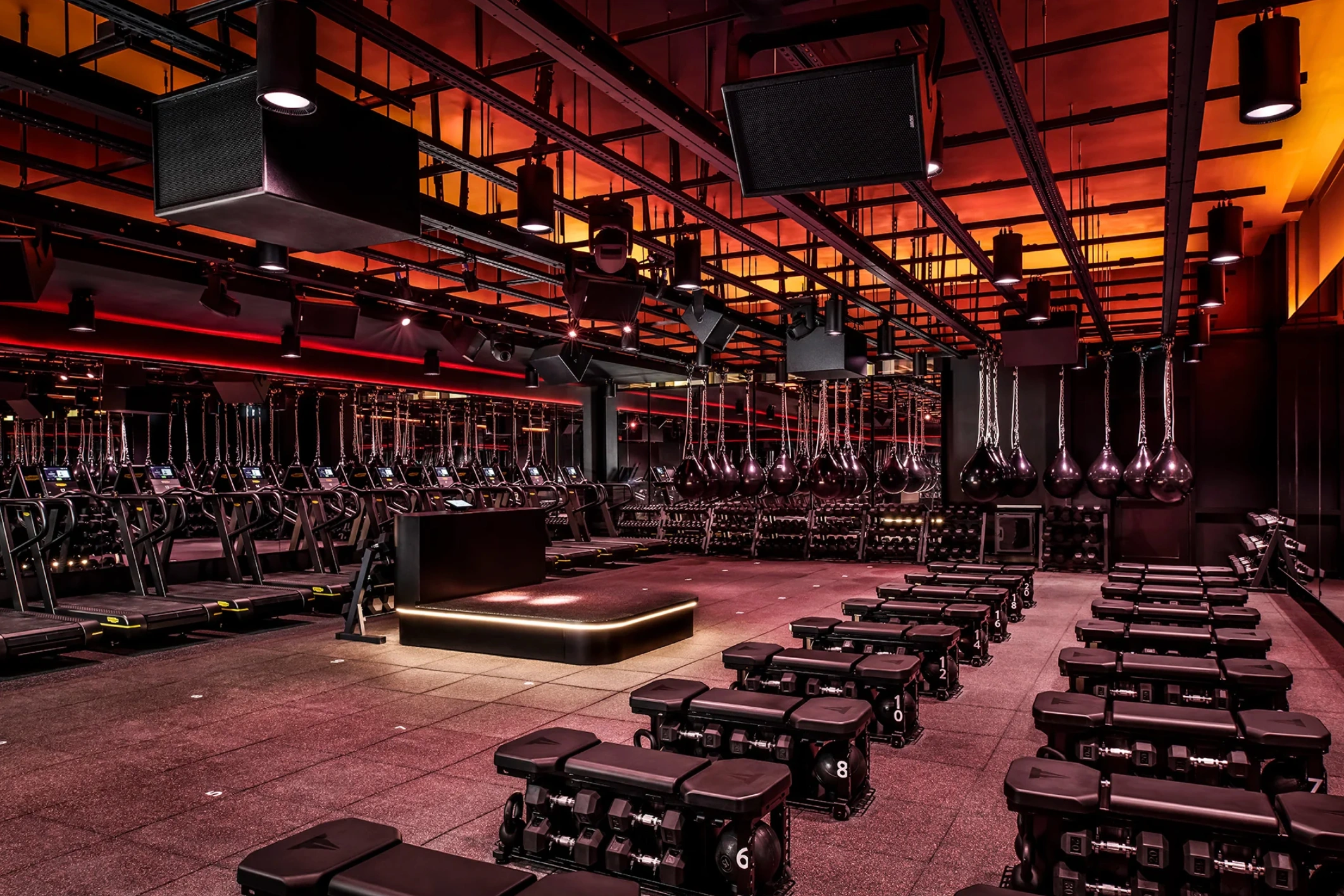 Sweat and Tonic studio