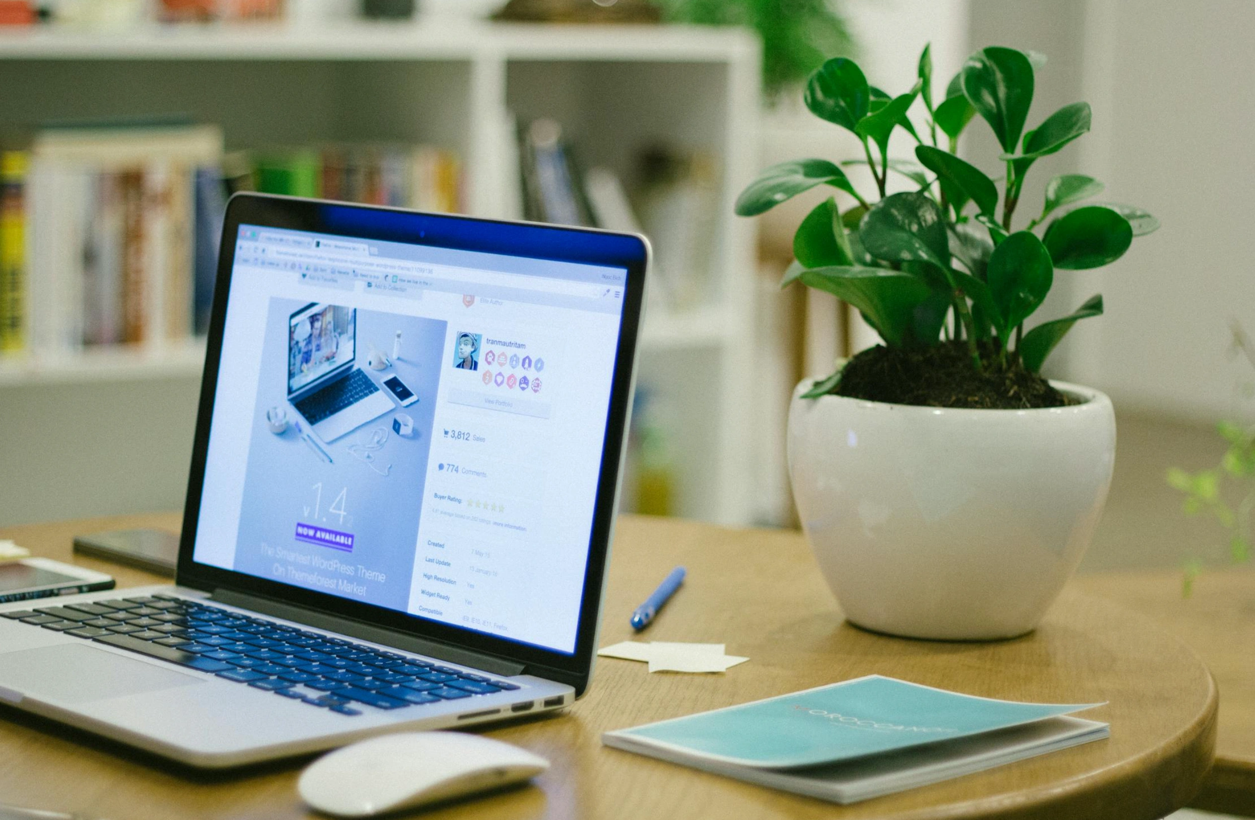 website design essentials
