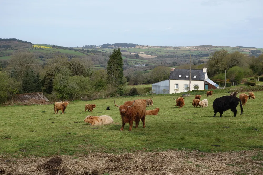 Monts d'Arrée Bretagne