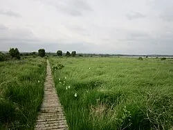 Monts d'Arrée Yeun Elez