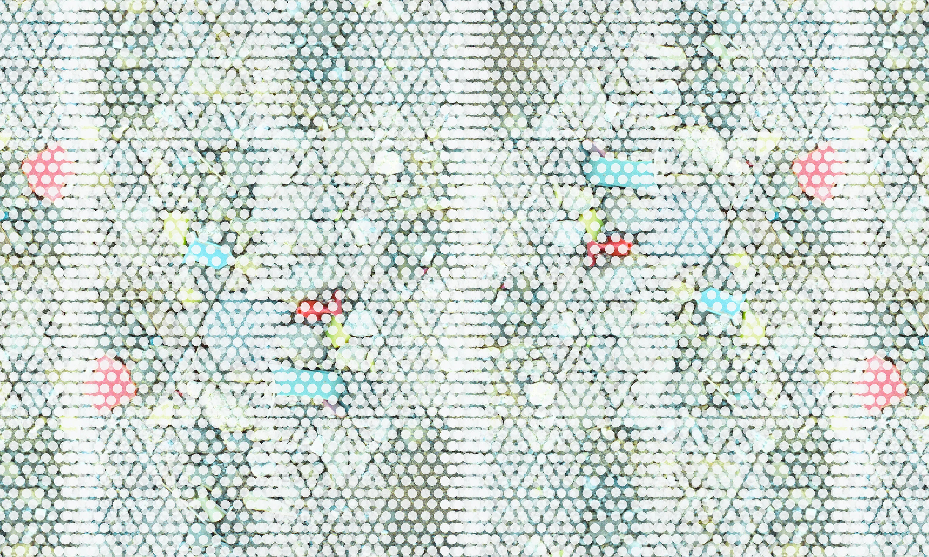 Screen (Shoreline Debris)