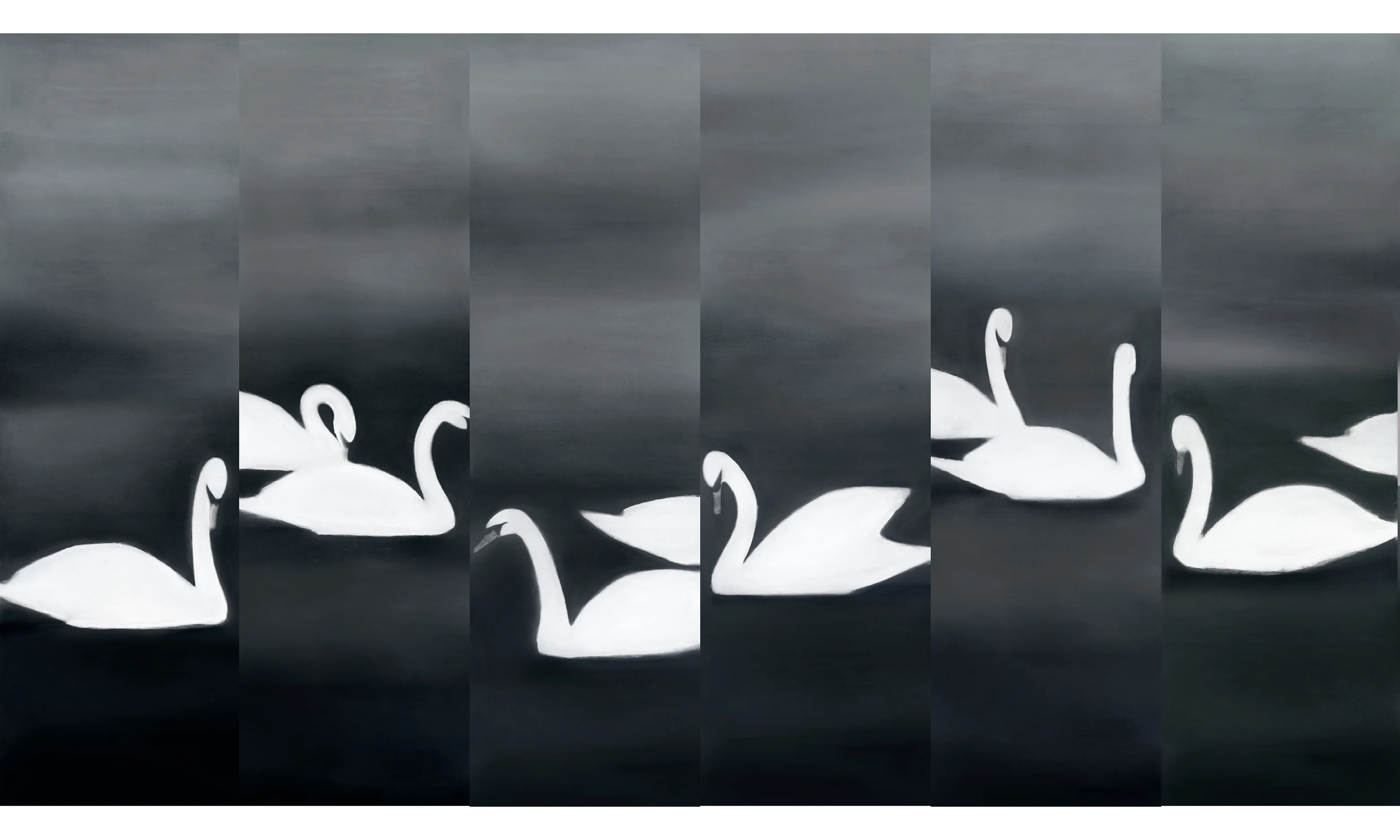 Swan