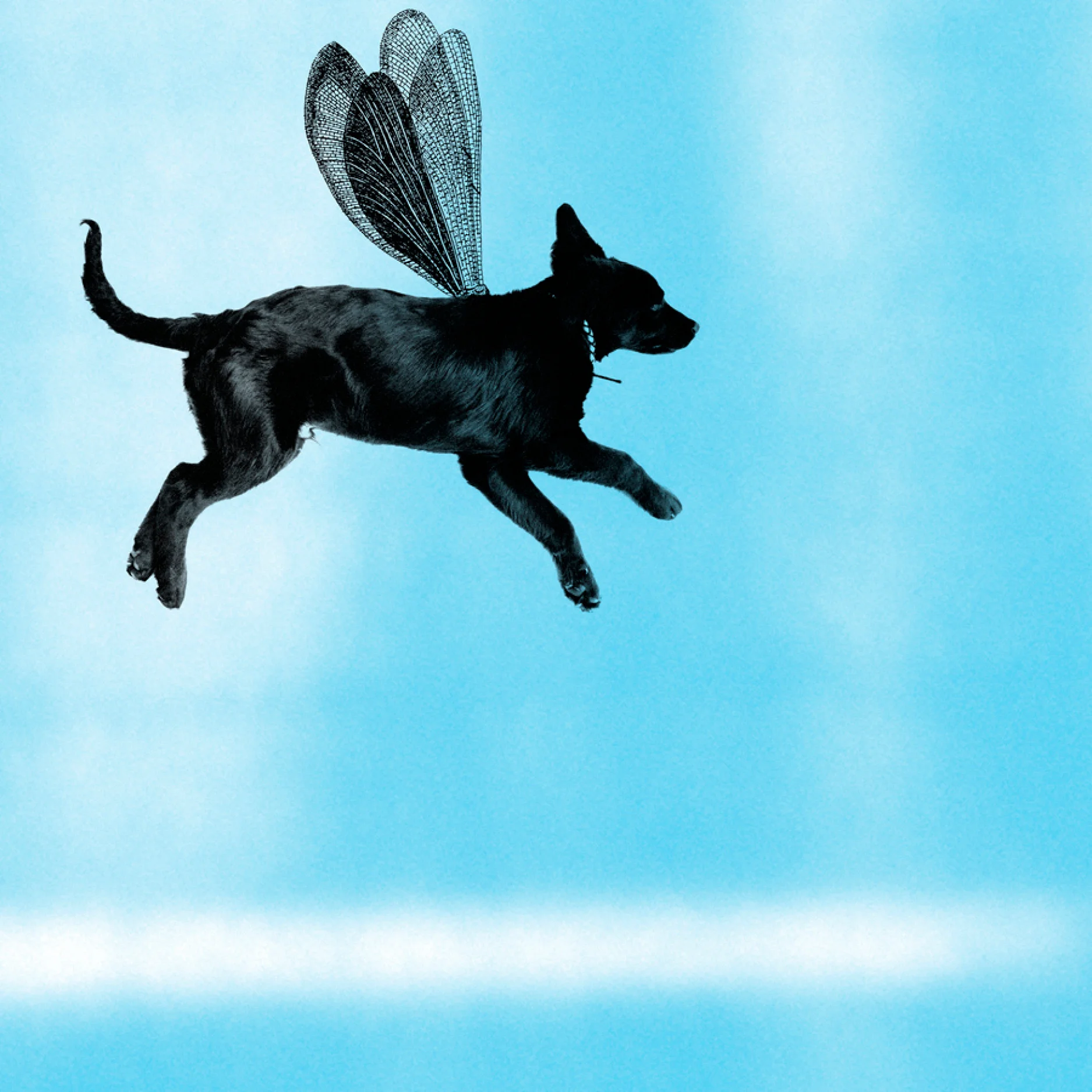 Flieger