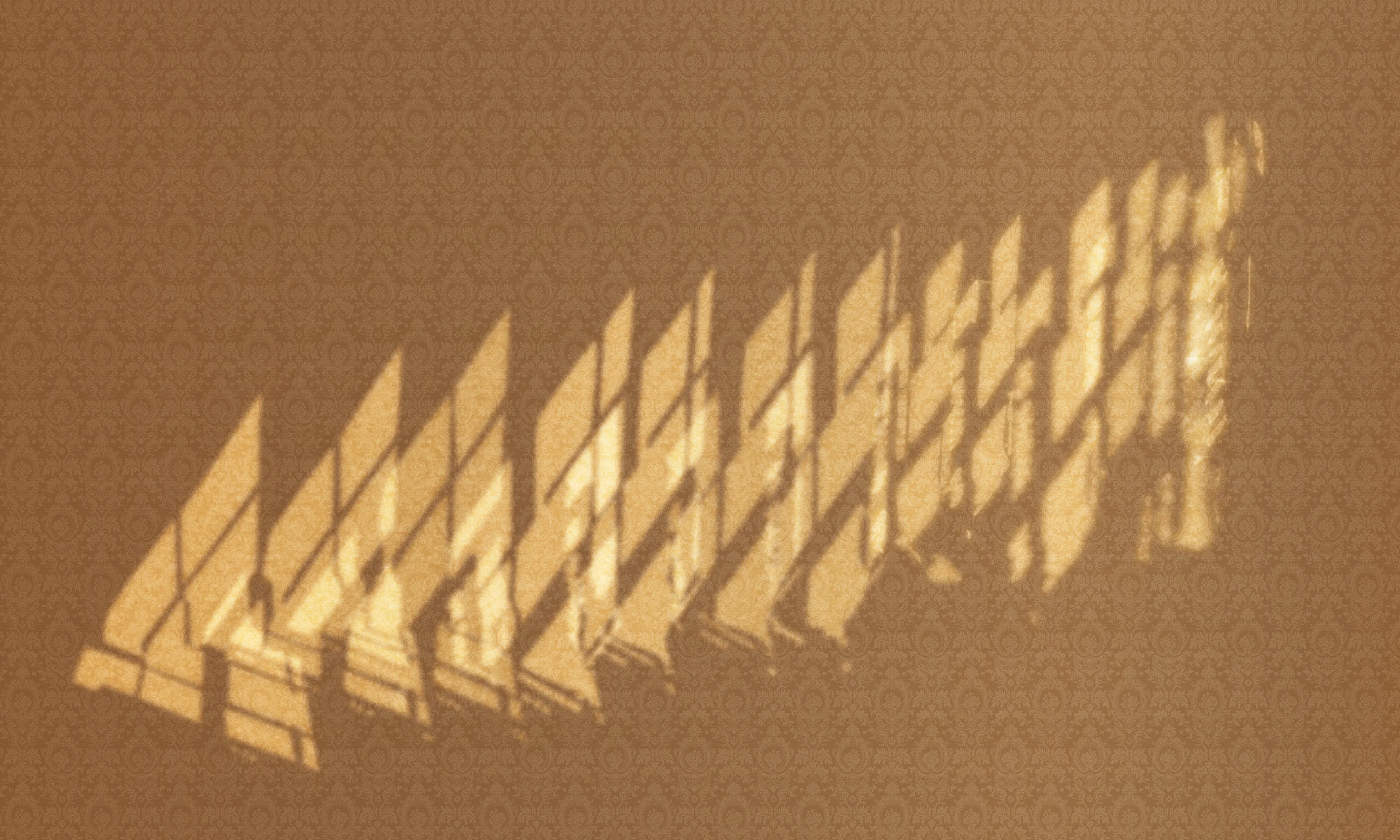 Sunlight in an Empty Room