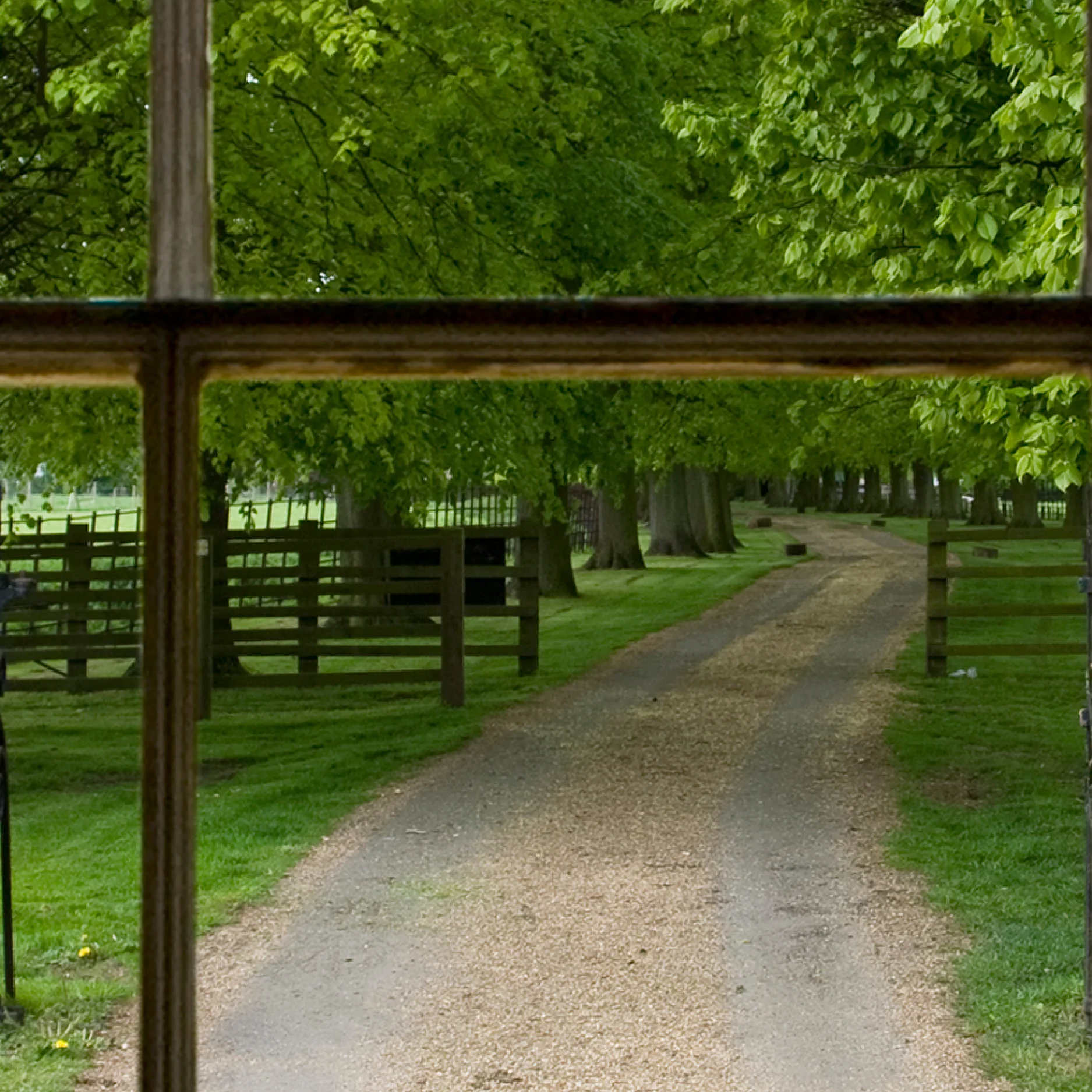 Stately Home Window Views