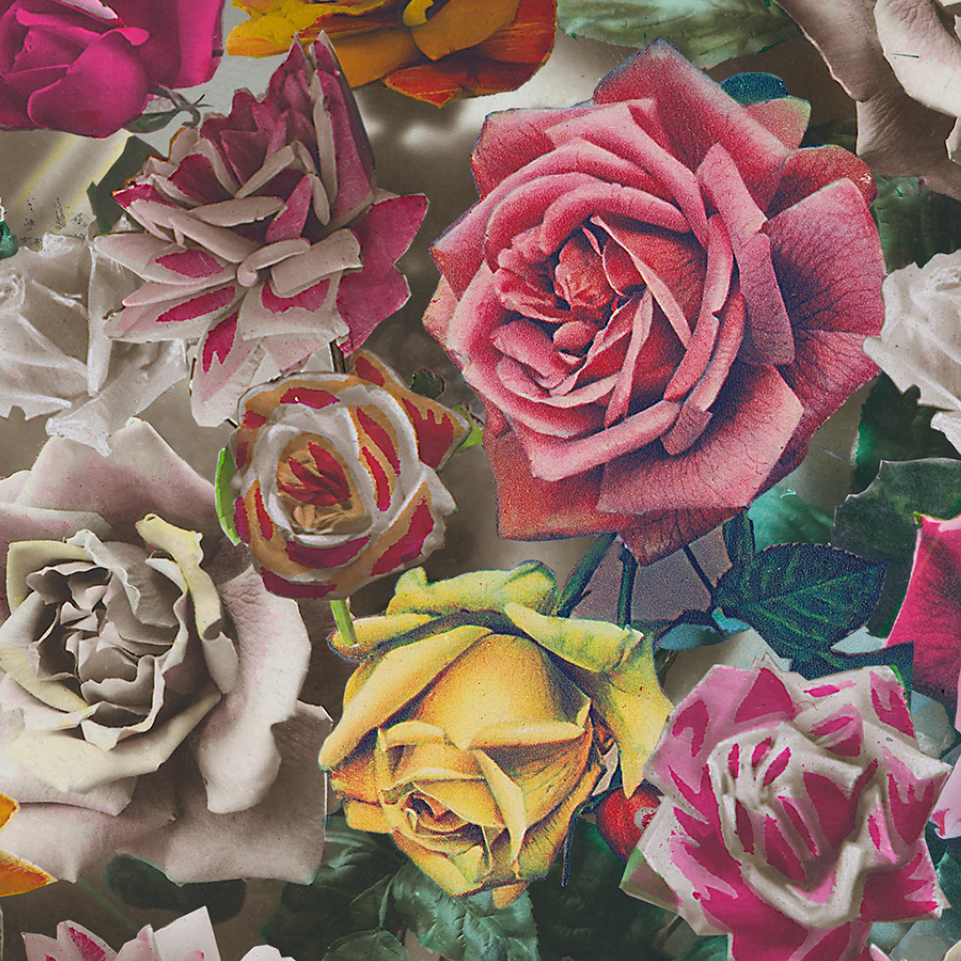 Hand Tinted Rose