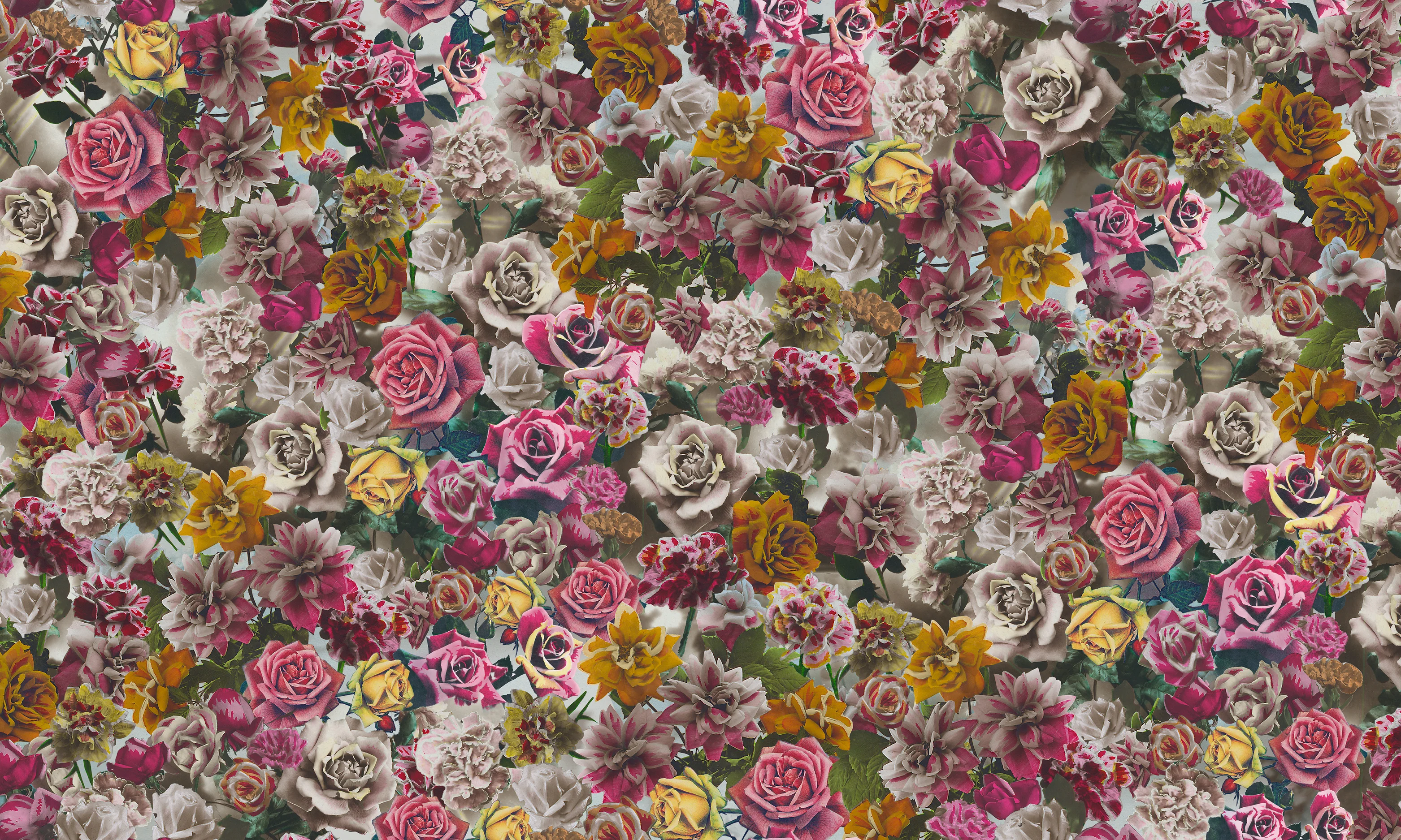 Hand Tinted Rose