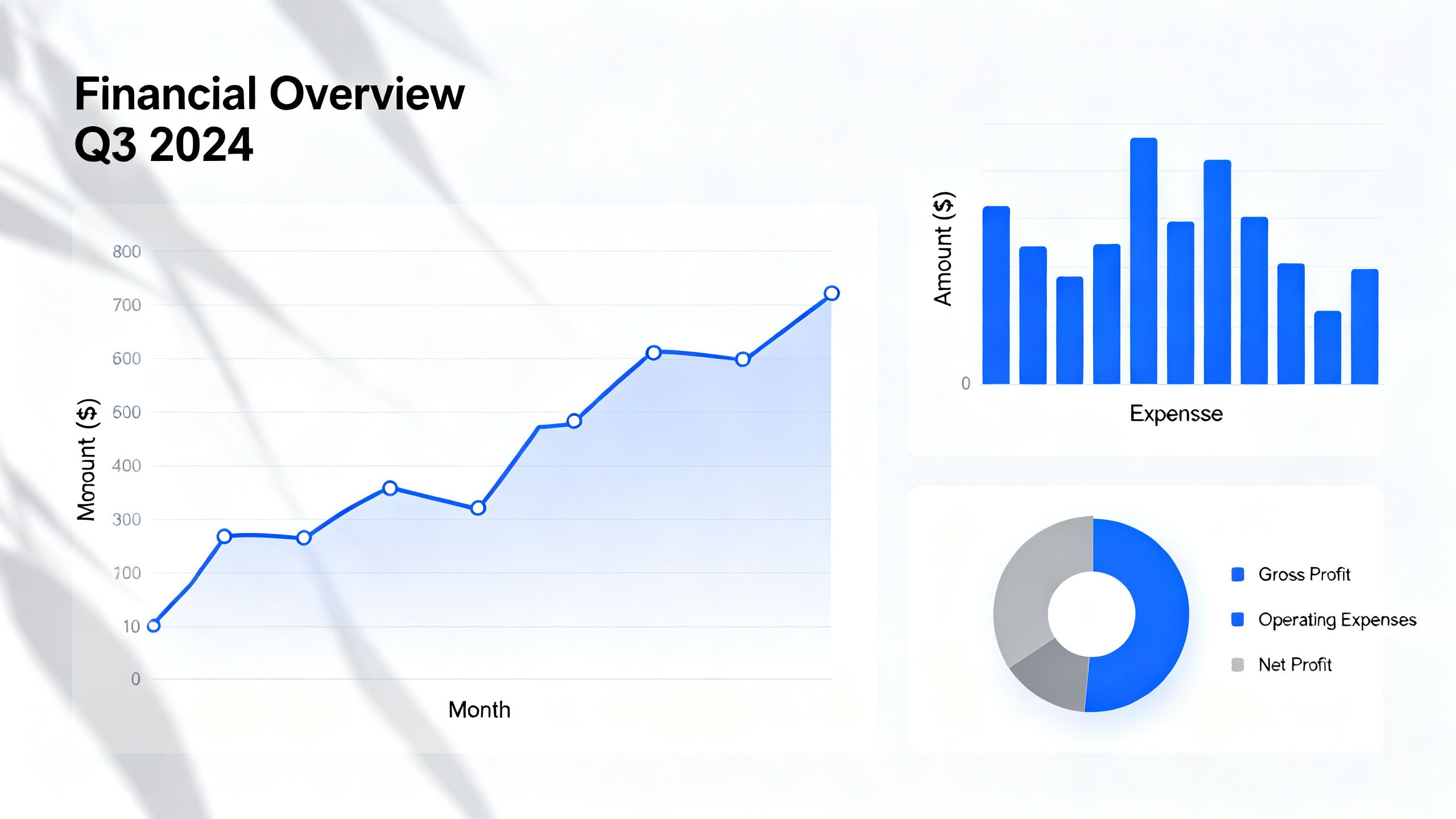 Modern accounting software dashboard with charts and graphs