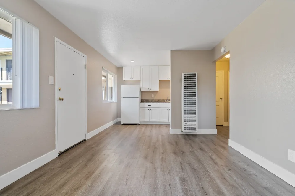 Living room and kitchen