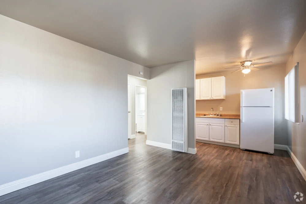 Living room and kitchen