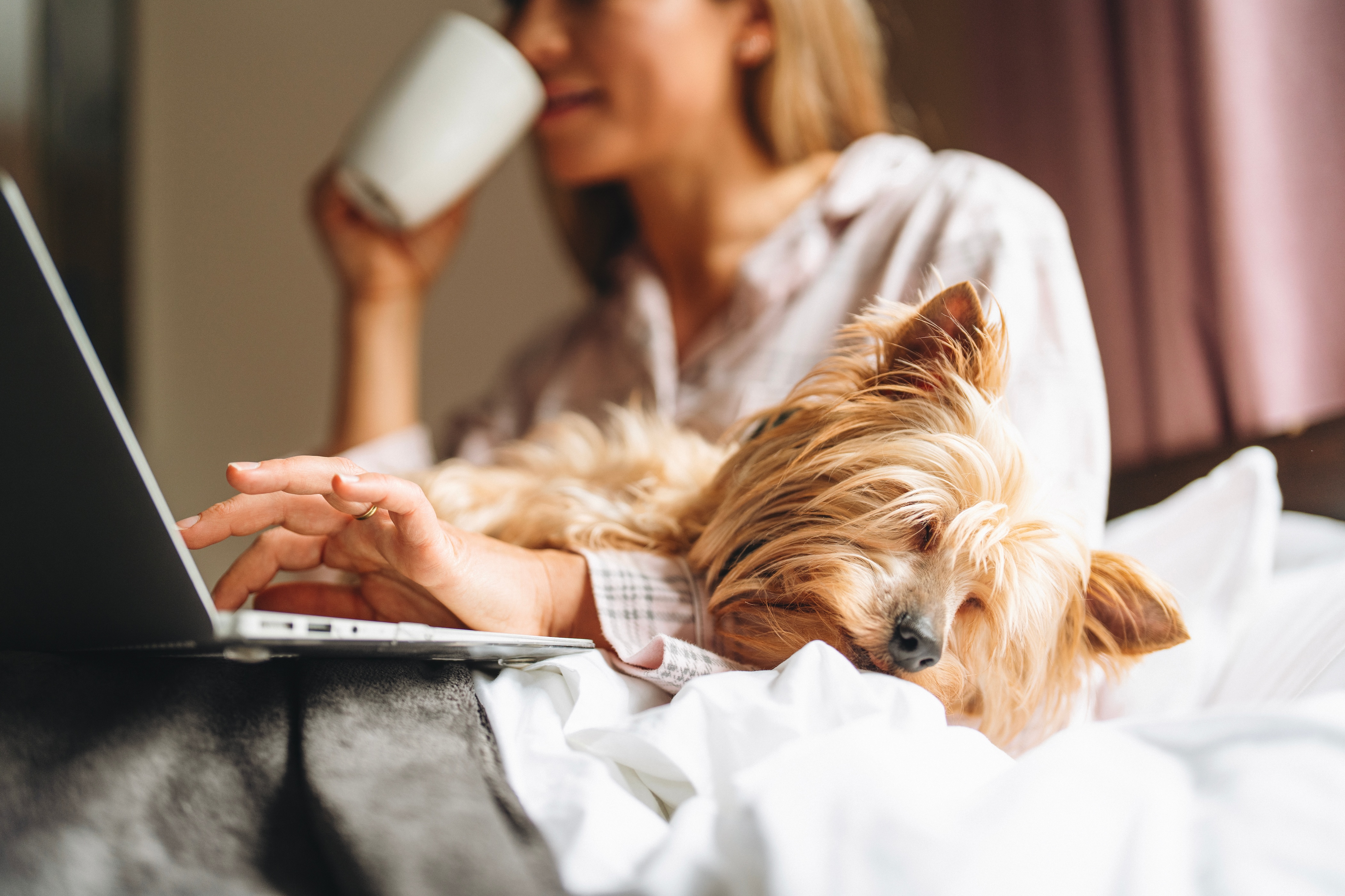 Woman and her dog stock photo