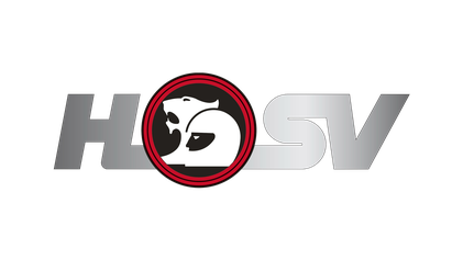 HSV logo