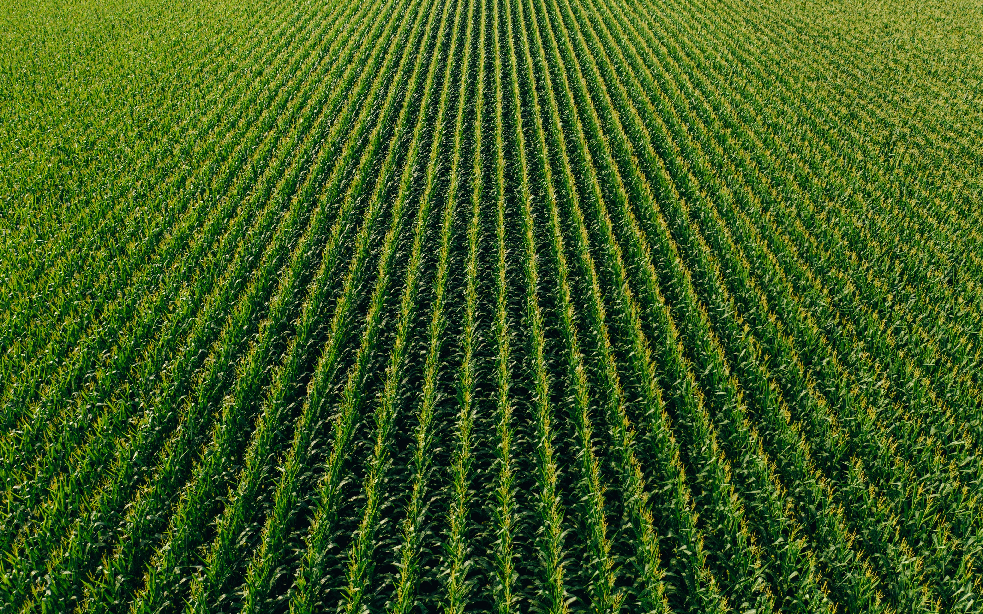 Rural & Farm Security