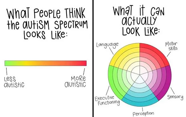 Comprehensive autism assessments - what is the spectrum