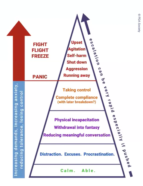 What is PDA Autism assessment wollongong