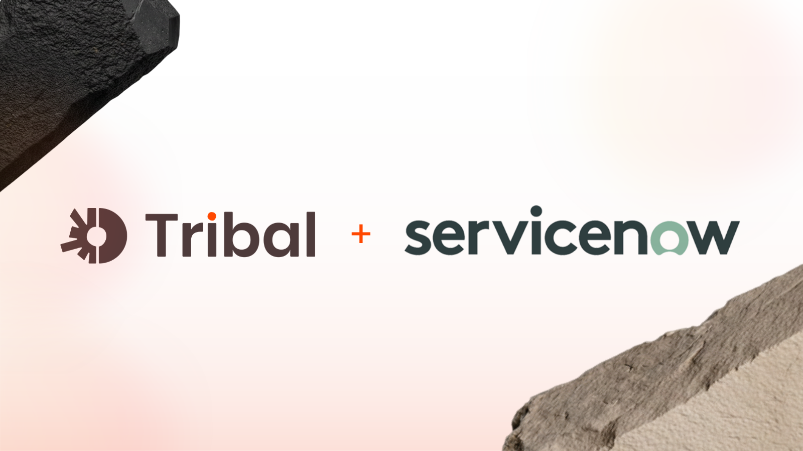 Introducing Tribal for ServiceNow
