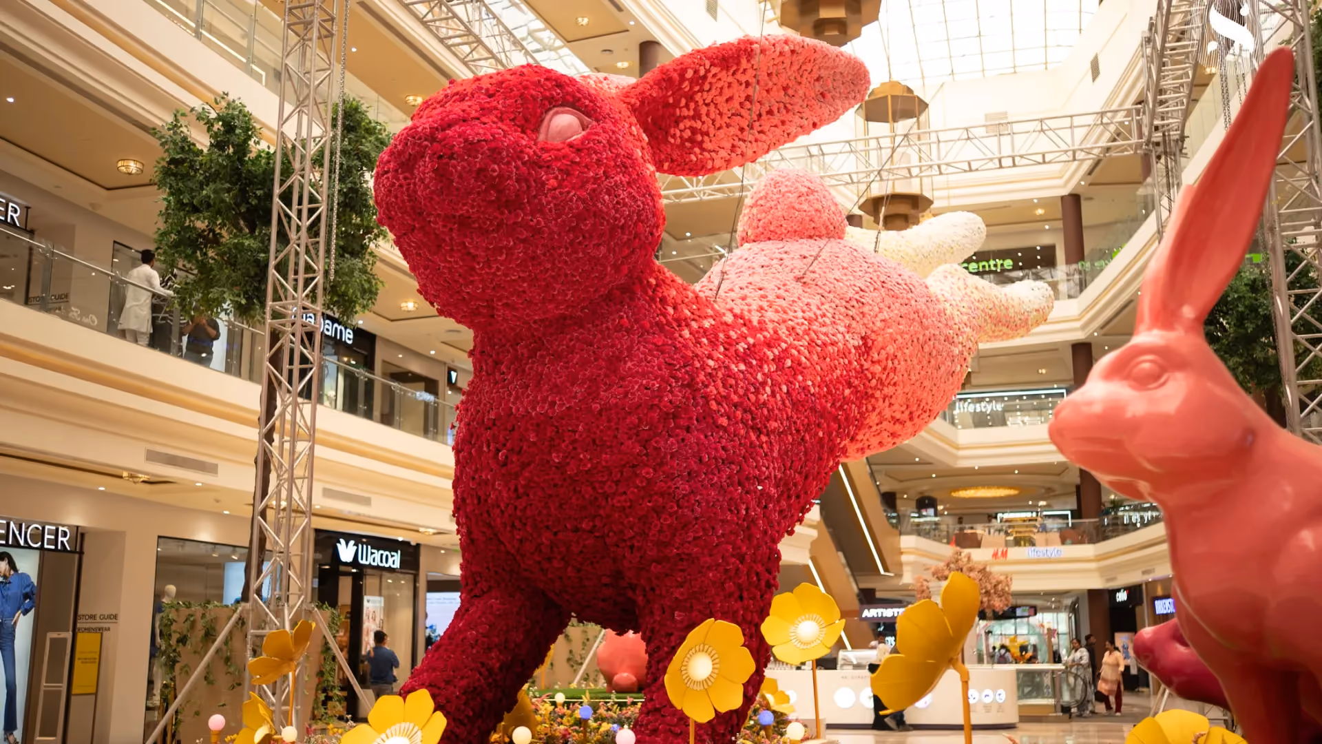 Rabbit