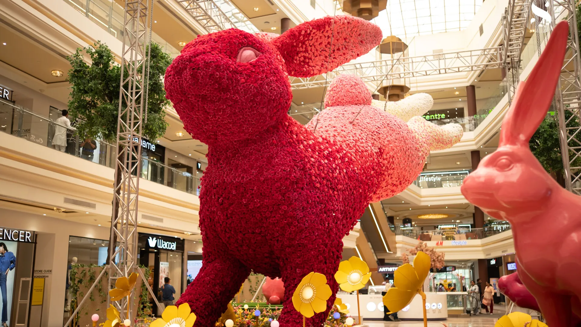 Rabbit