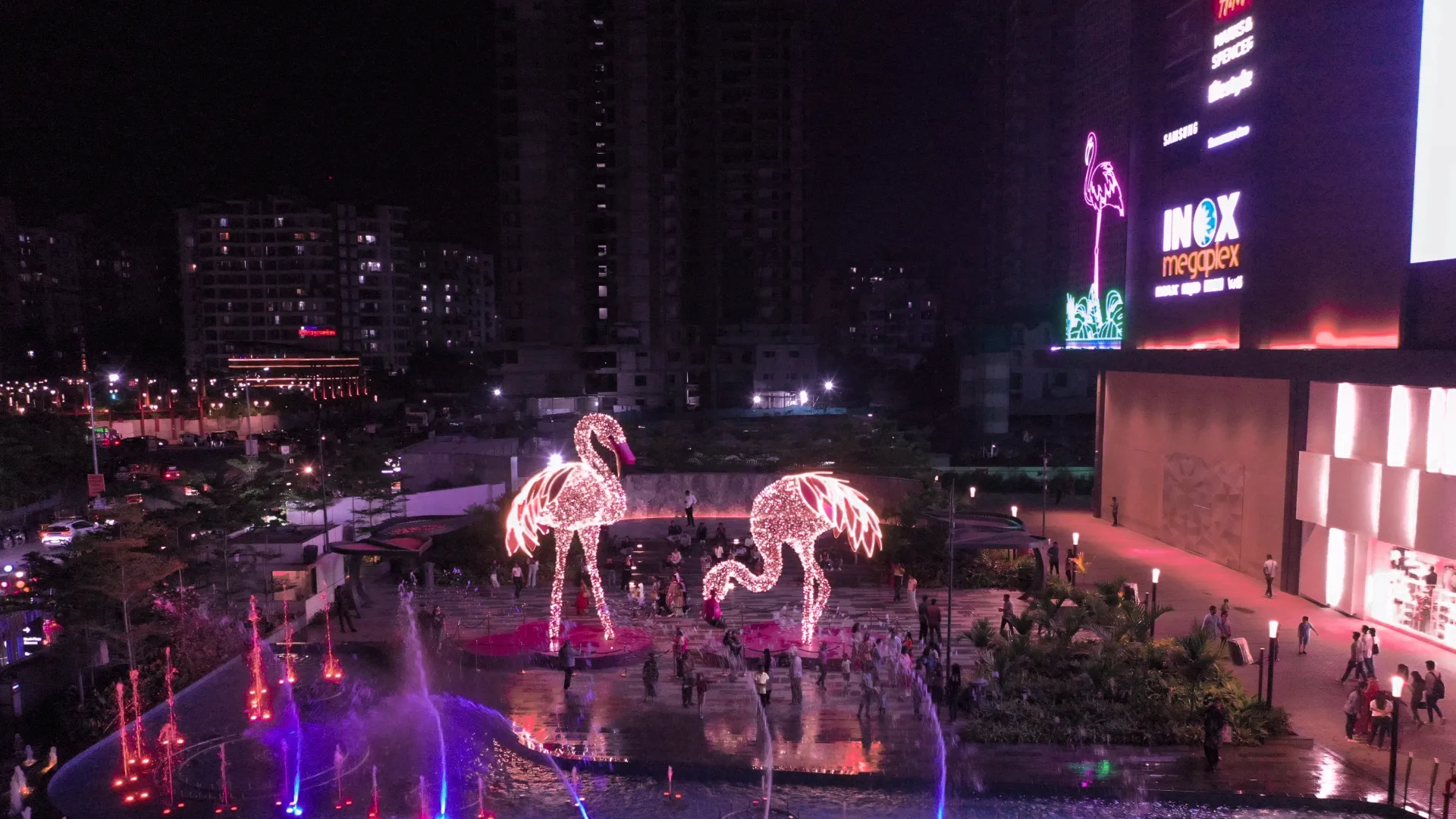 Flamingos