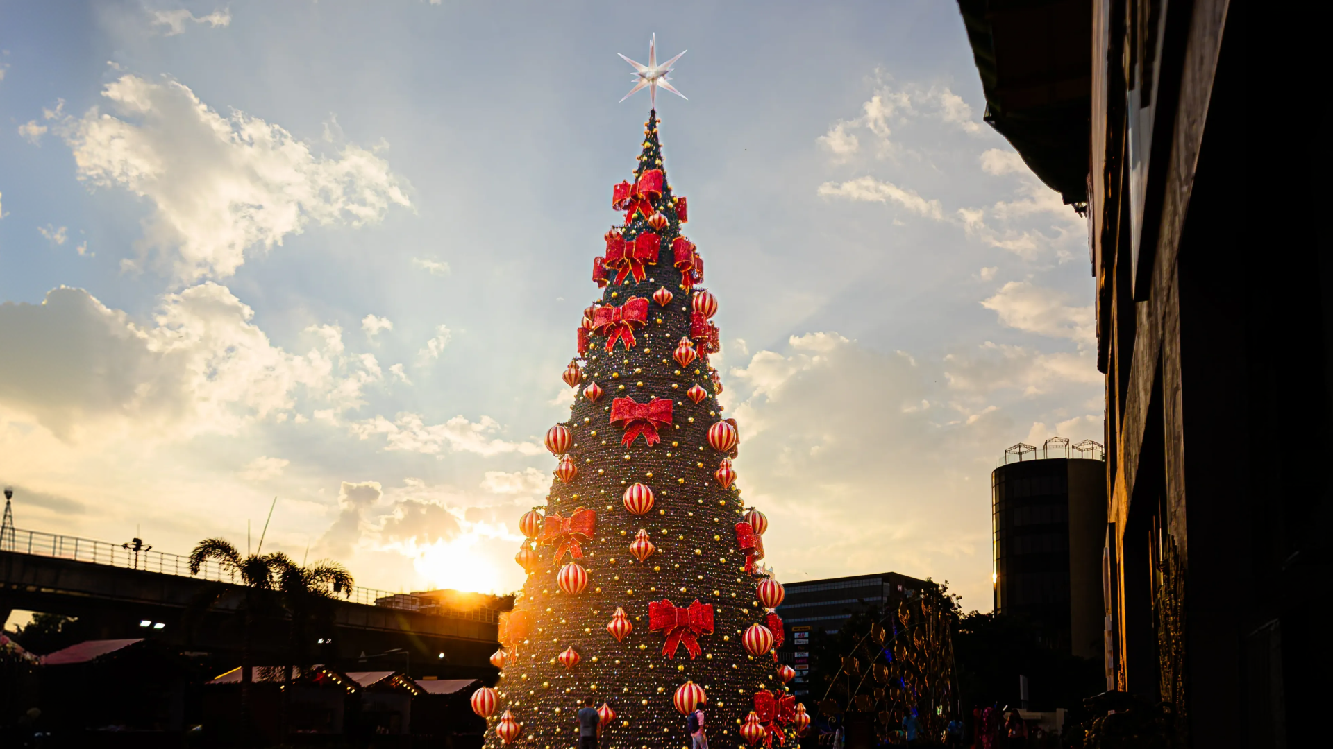 Bow Tree