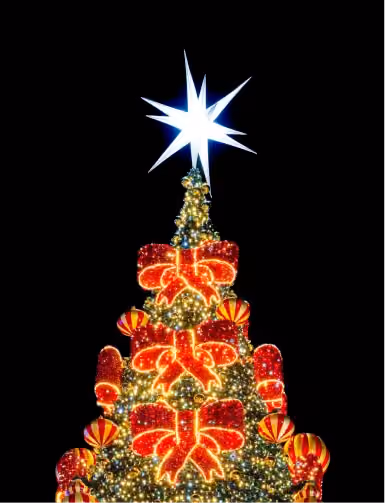 Bow Tree