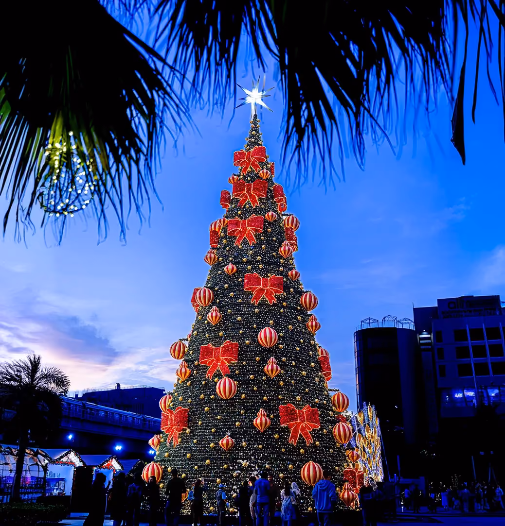 Bow Tree