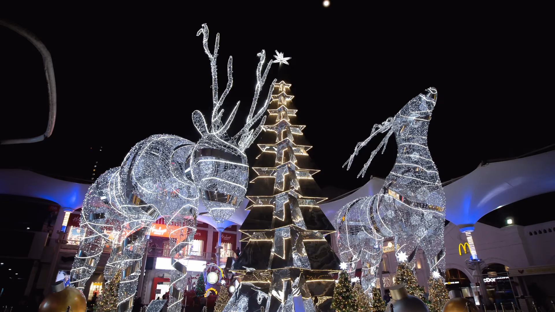 Reindeer 2019