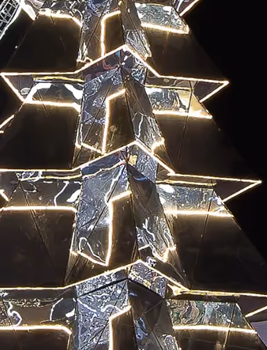 Reindeer 2019