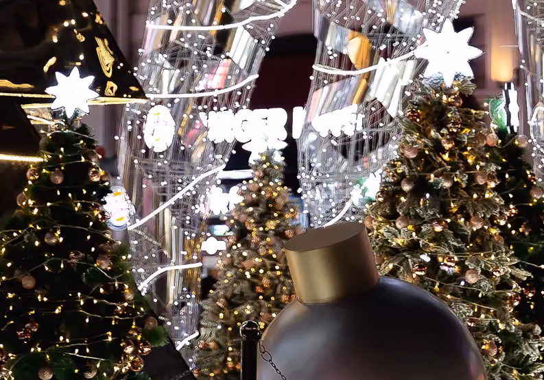 Reindeer 2019