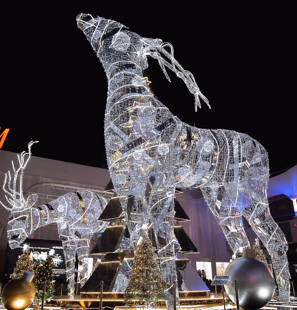 Reindeer 2019