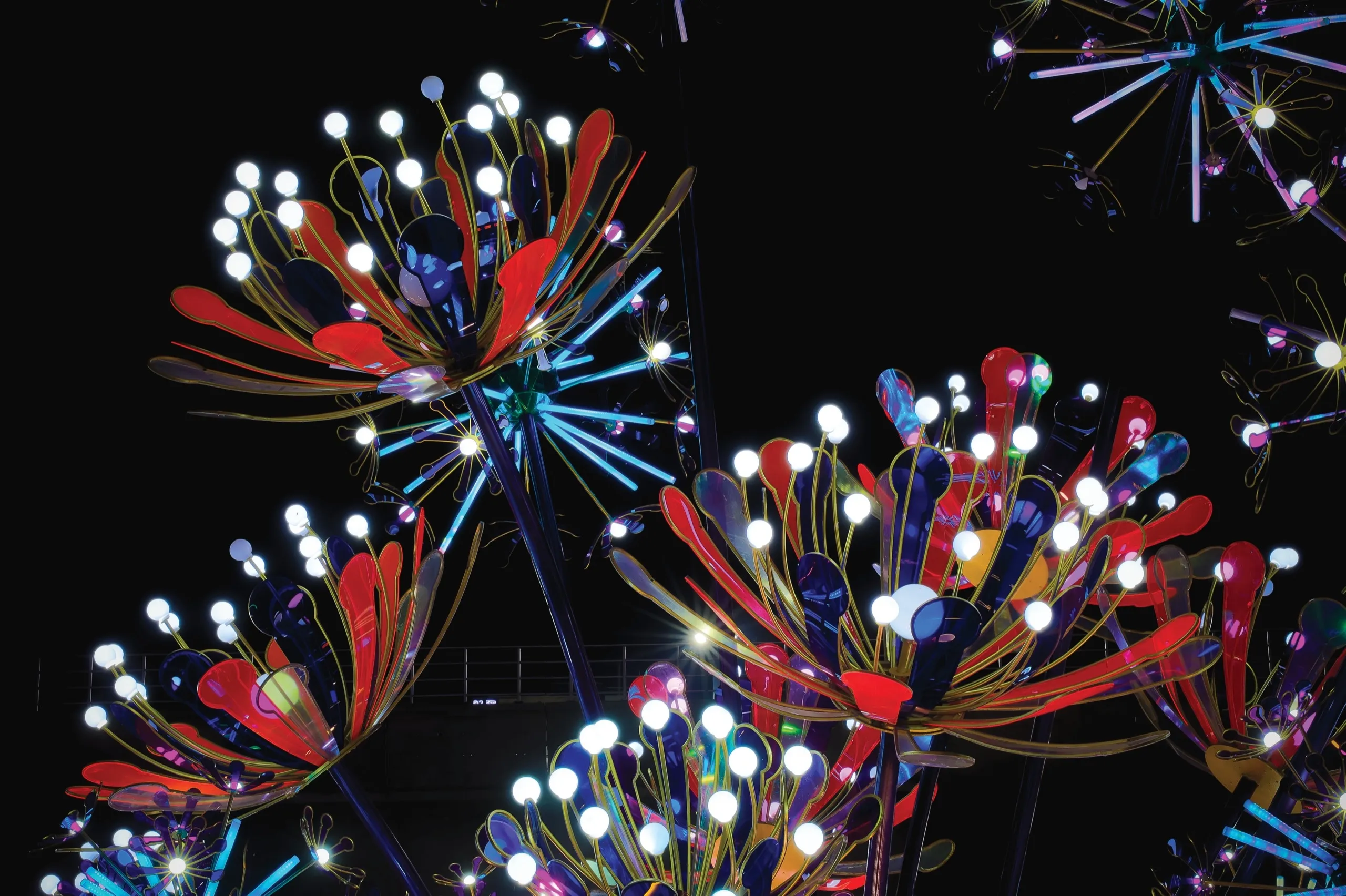 Symphony of Lights
