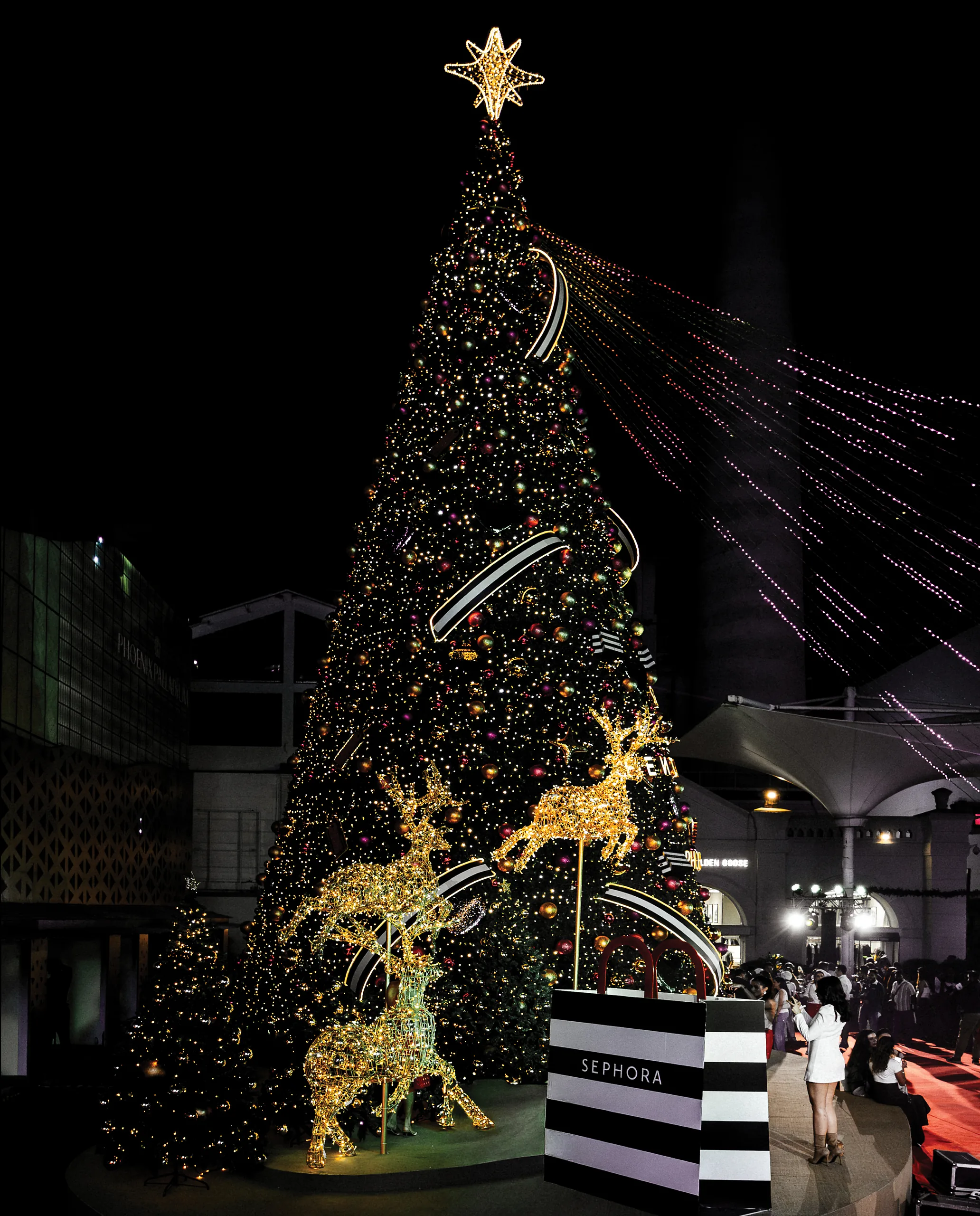 Holiday Sparkle