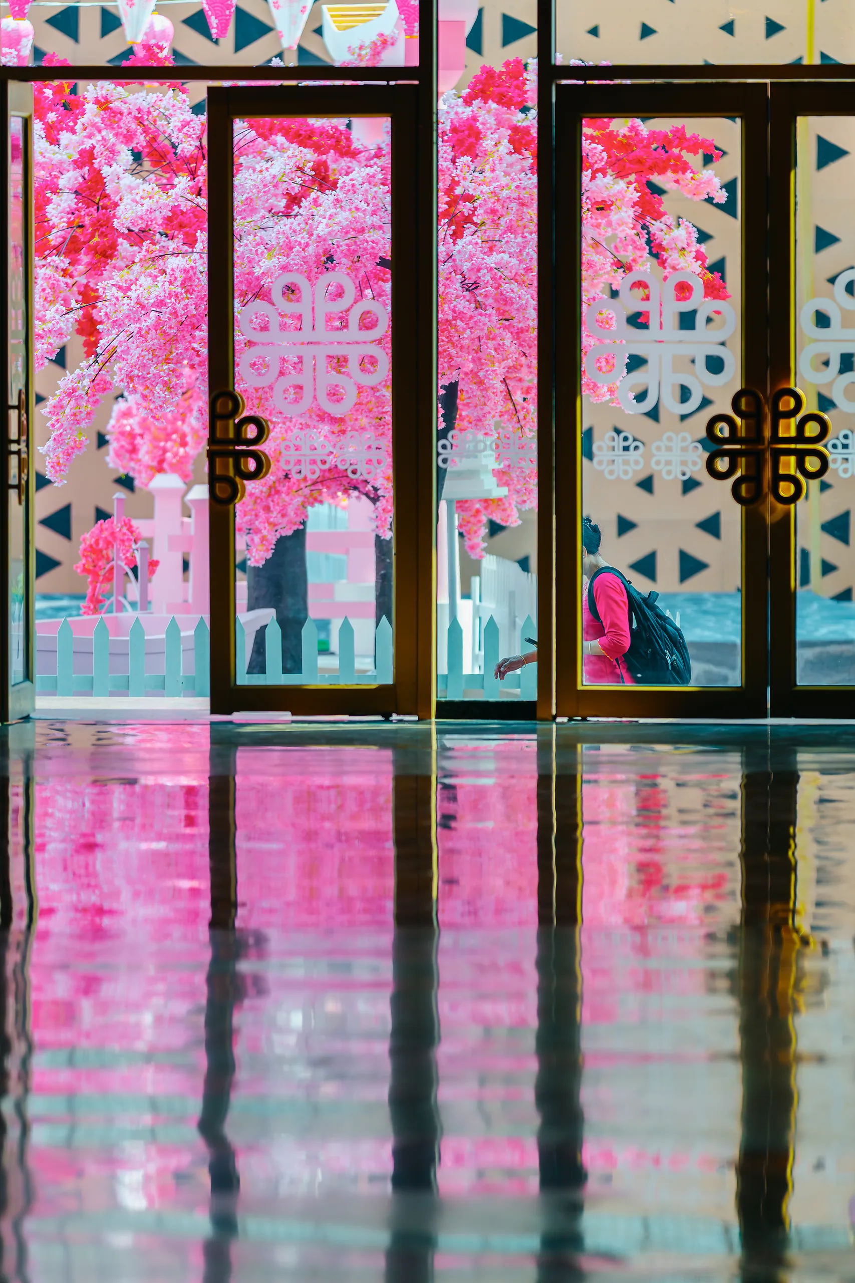 Kyoto in Bloom