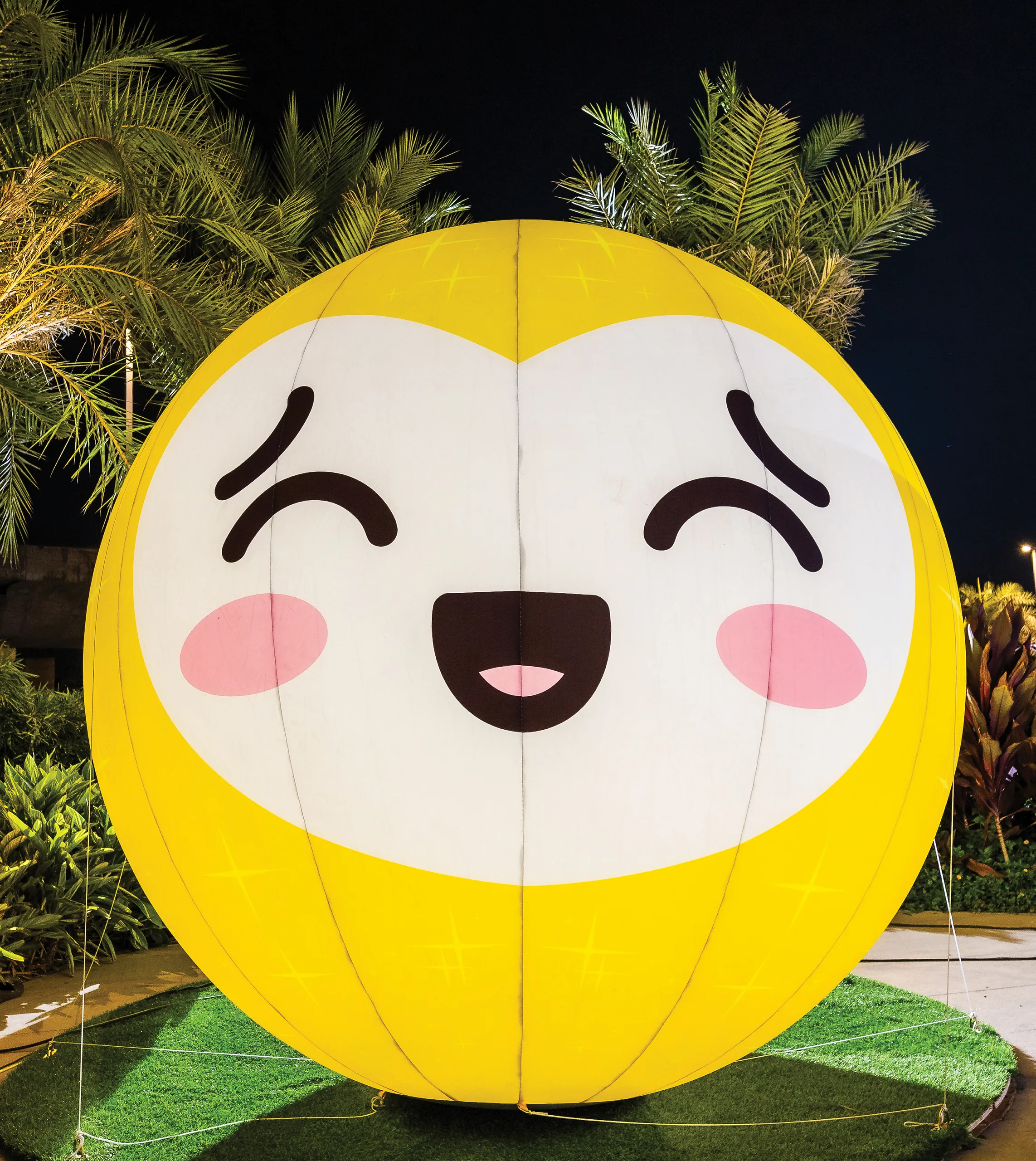 The Inflatable Universe 