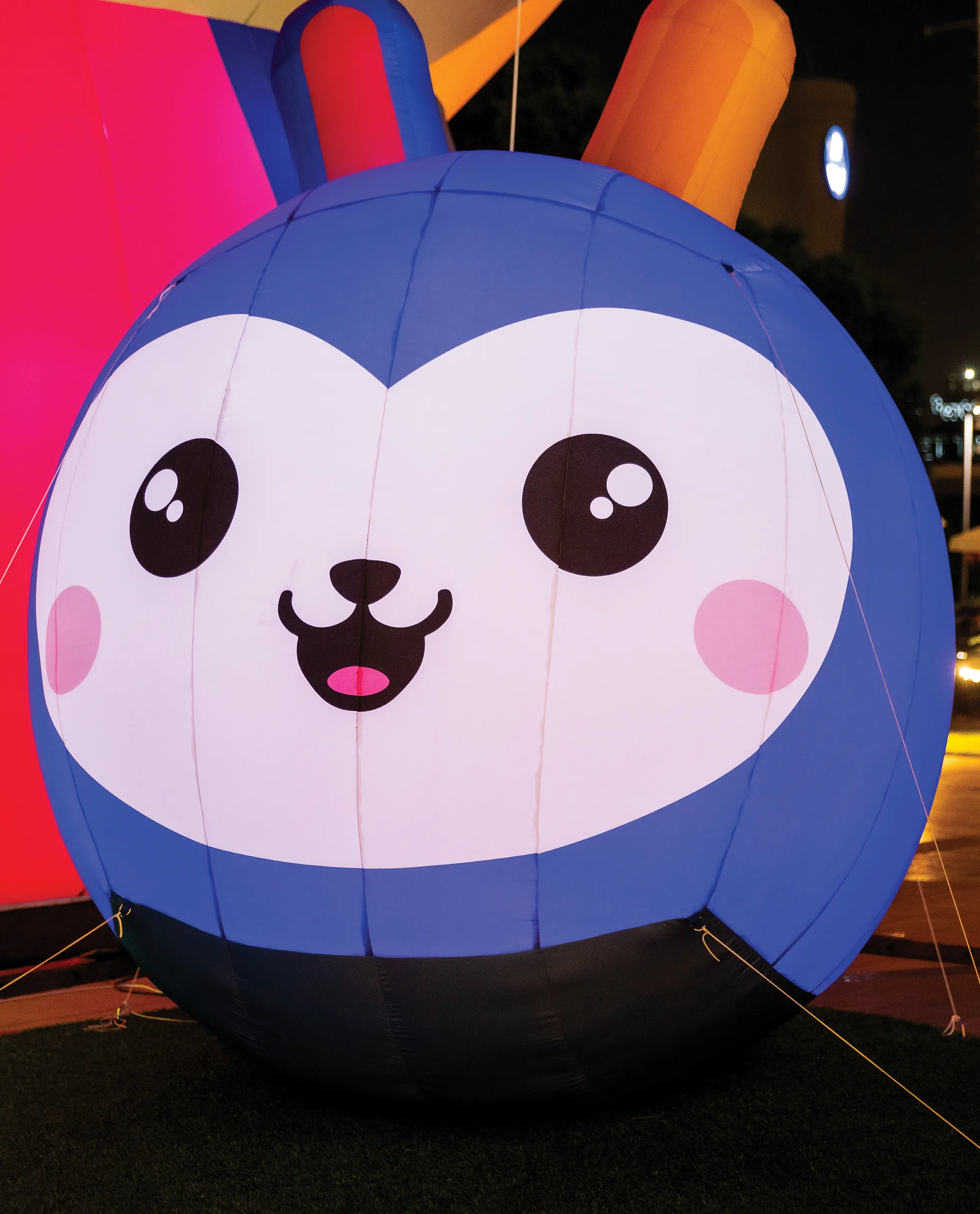 The Inflatable Universe 
