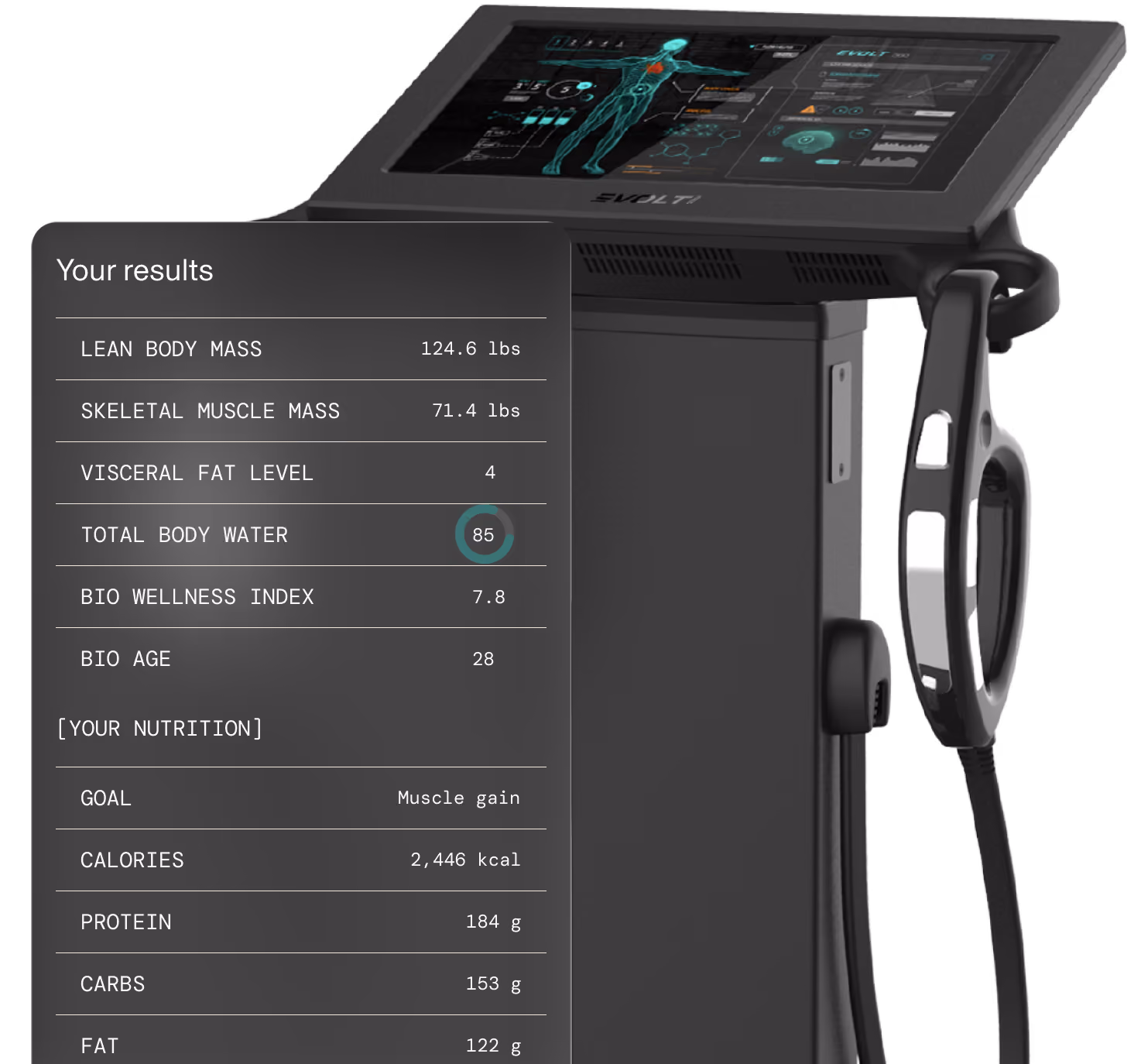 Body composition scan