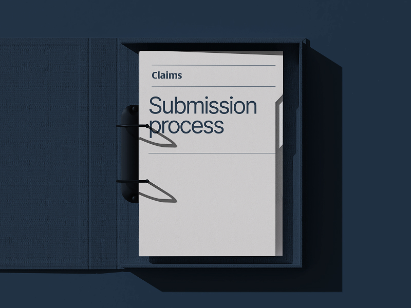 Illustration of the PPS claims process steps