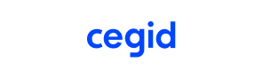 ERP Partner Logo