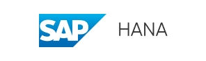 ERP Partner Logo