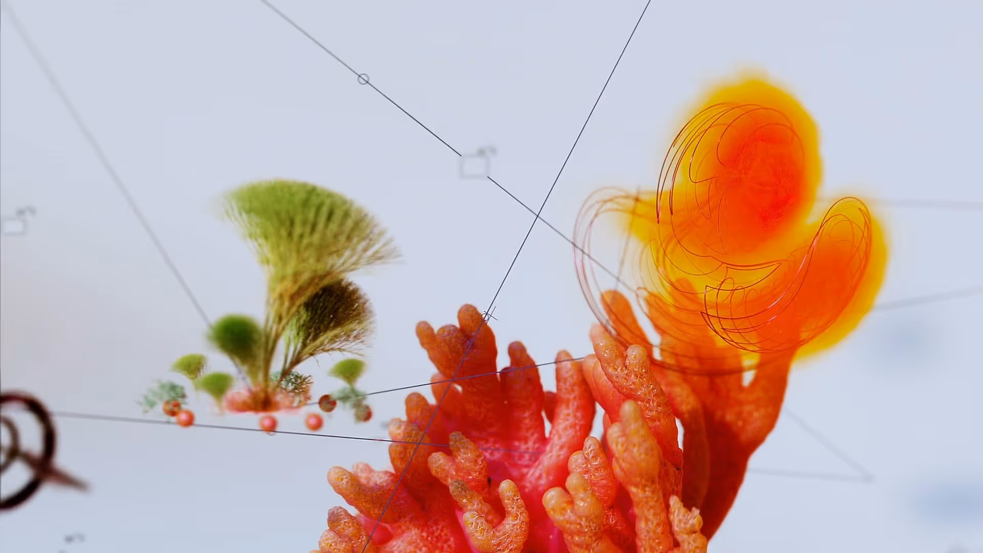 Detailed image of the project
